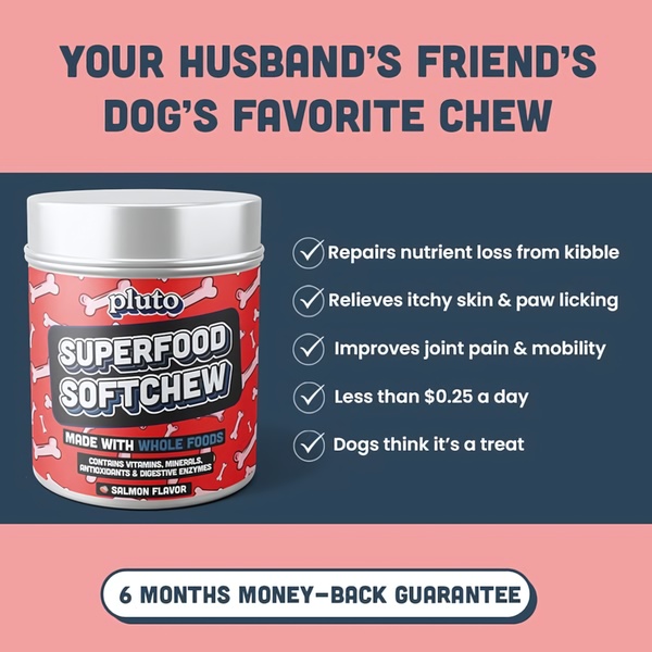 This 1:1 square ad for a dog chew supplement uses a curiosity-driven hook followed by a high-contrast checklist of five core product benefits.